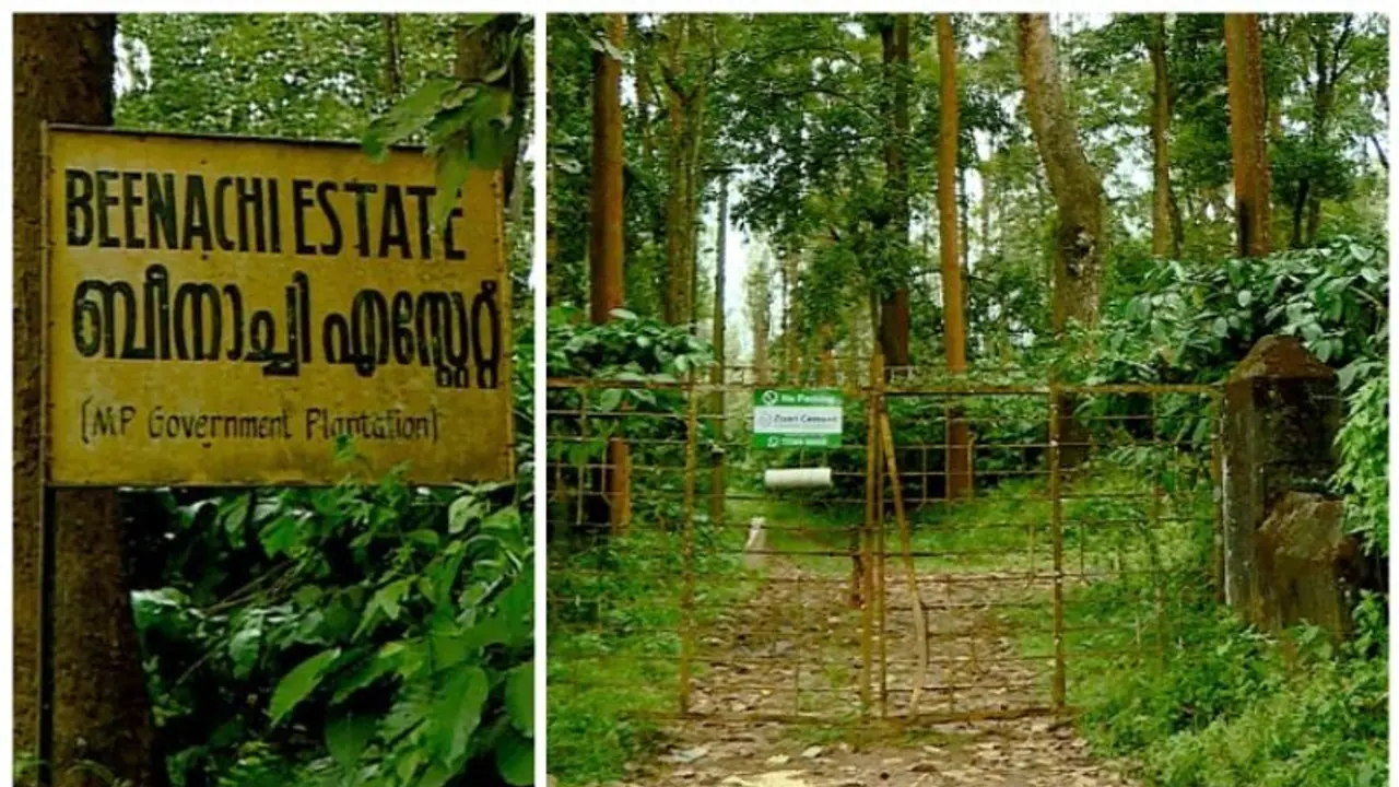 Madhya Pradesh government owns estate in Kerala's Wayanad; Here's how