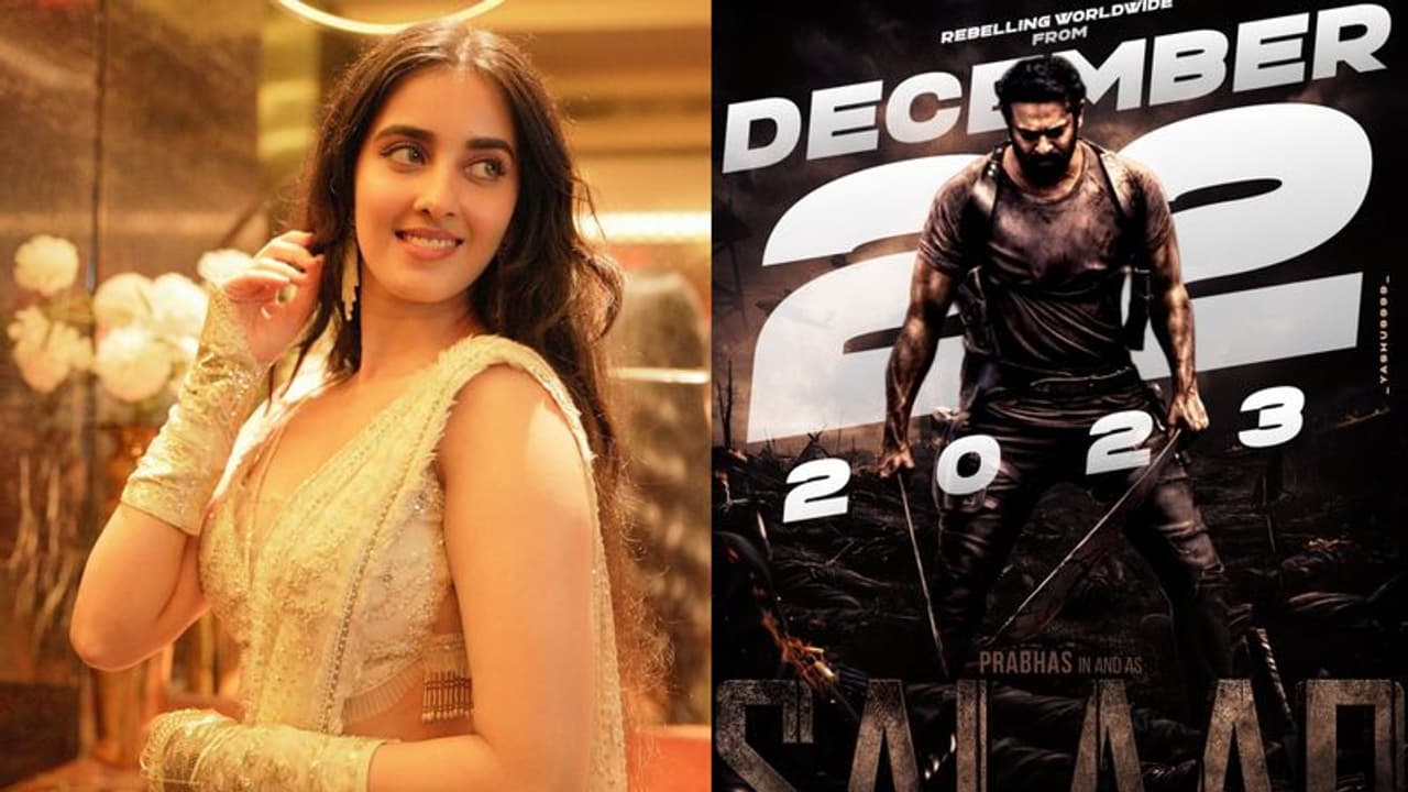   సలార్ లో డర్టీ హరి హీరోయిన్? ఇంతకీ రోల్ ఏంటీ?