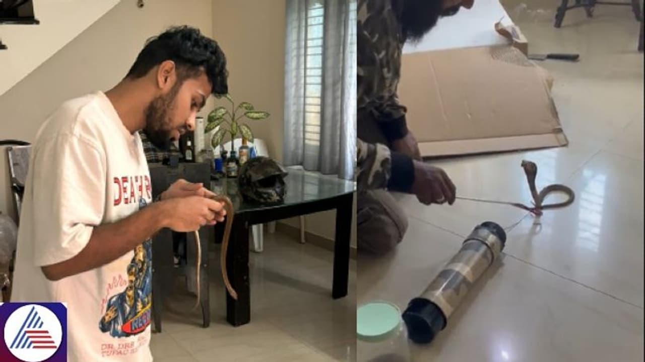 Cobra visit in Bengaluru home goes viral, netizens share laughter: 'Chalo kuch toh naya hua B'lore mein' 