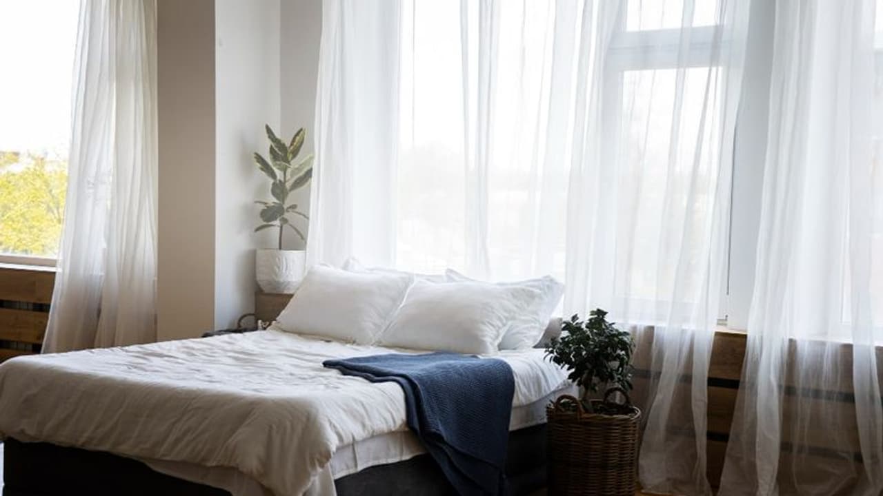 படுக்கையில் பாதியை வாடகைக்கு விட்டு மாதம் ரூ.54,000 சம்பாதிக்கும் பெண்! பேஸ்புக் மூலம் இதெல்லாம் நடக்குதா! 