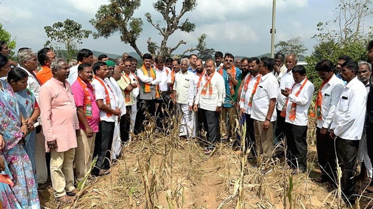ಸಿದ್ದರಾಮಯ್ಯ ಸರ್ಕಾರ ರೈತರಿಗೆ ಮರಣ ಶಾಸನ ಬರೆಯುತ್ತಿದೆ: ಬಿ.ವೈ. ರಾಘವೇಂದ್ರ ಸಿದ್ದರಾಮಯ್ಯ ಸರ್ಕಾರ ರೈತರಿಗೆ ಮರಣ ಶಾಸನ ಬರೆಯುತ್ತಿದೆ: ಬಿ.ವೈ. ರಾಘವೇಂದ್ರ