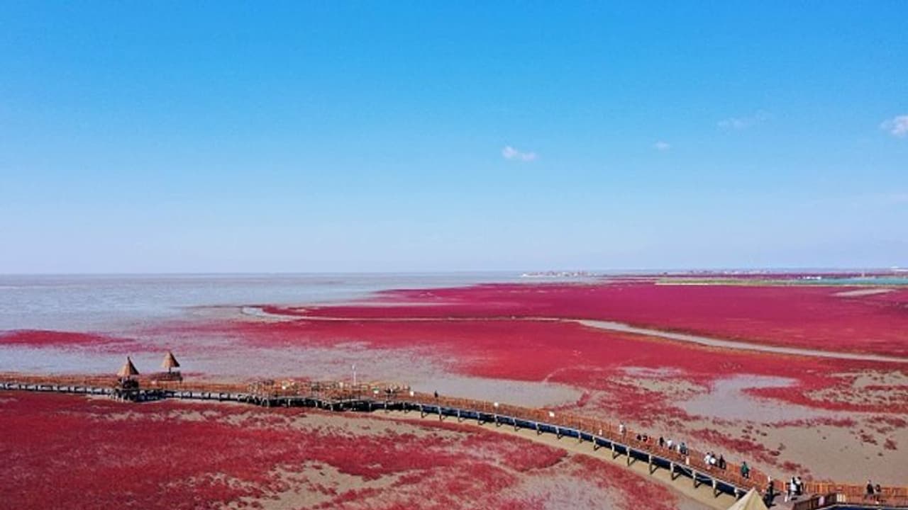 'ചുവപ്പെന്നാല്‍ ചെഞ്ചുവപ്പ്'; മണല്‍ത്തരികള്‍ പോലും കാണാനാവാത്തവിധം ചുവപ്പ് നിറമുള്ള ബീച്ച് ! 