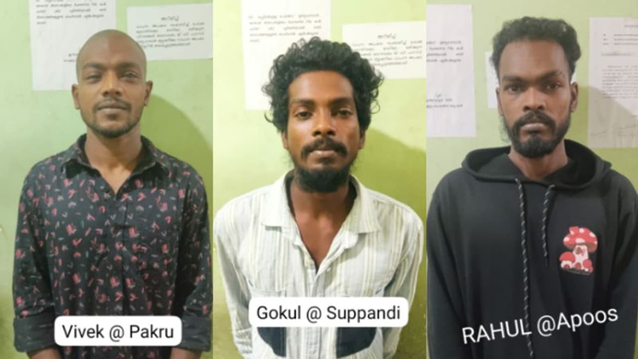 പാർവതി പുത്തനാറിനരികെ 8 കൂട്ടുകാരുടെ മദ്യപാനം, കൂട്ടത്തിലൊരാളെ വെട്ടി, പക്രുവും ശുപ്പാണ്ടിയും അപ്പൂസും പിടിയിൽ