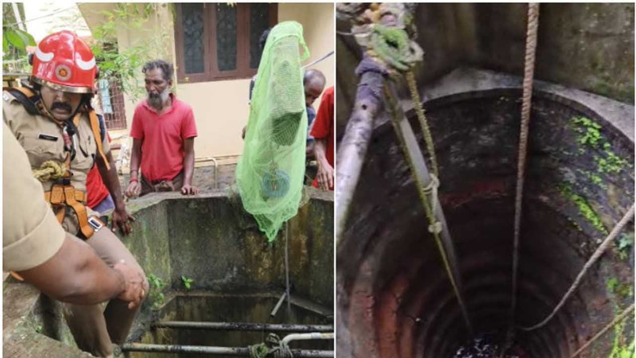 30 അടി താഴ്ചയിൽ 12 അടിയോളം വെള്ളം, ആഴമേറിയ കിണറിനുള്ളിൽ അബദ്ധത്തിൽ വീണ് വസന്ത, പാഞ്ഞെത്തി ഫയർഫോഴ്സ്, രക്ഷ! 30 അടി താഴ്ചയിൽ 12 അടിയോളം വെള്ളം, ആഴമേറിയ കിണറിനുള്ളിൽ അബദ്ധത്തിൽ വീണ് വസന്ത, പാഞ്ഞെത്തി ഫയർഫോഴ്സ്, രക്ഷ!