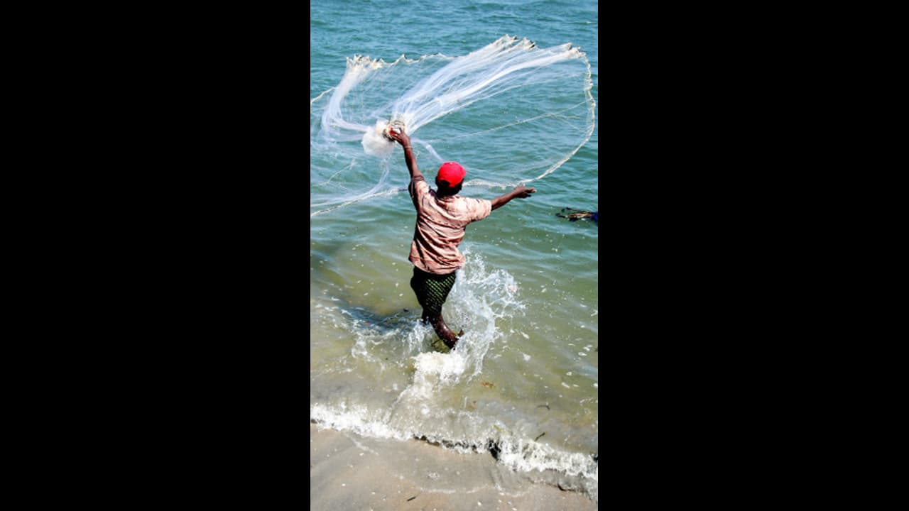 Union Budget 2024: ಮತ್ಸ್ಯಸಂಪದ ಯೋಜನೆಯಿಂದ ಸಮುದ್ರ ಉತ್ಪನ್ನಗಳ ರಫ್ತು ಹೆಚ್ಚಳ,ಭಾರೀ ಉದ್ಯೋಗ ಸೃಷ್ಟಿ ನಿರೀಕ್ಷೆ! Union Budget 2024: ಮತ್ಸ್ಯಸಂಪದ ಯೋಜನೆಯಿಂದ ಸಮುದ್ರ ಉತ್ಪನ್ನಗಳ ರಫ್ತು ಹೆಚ್ಚಳ,ಭಾರೀ ಉದ್ಯೋಗ ಸೃಷ್ಟಿ ನಿರೀಕ್ಷೆ!