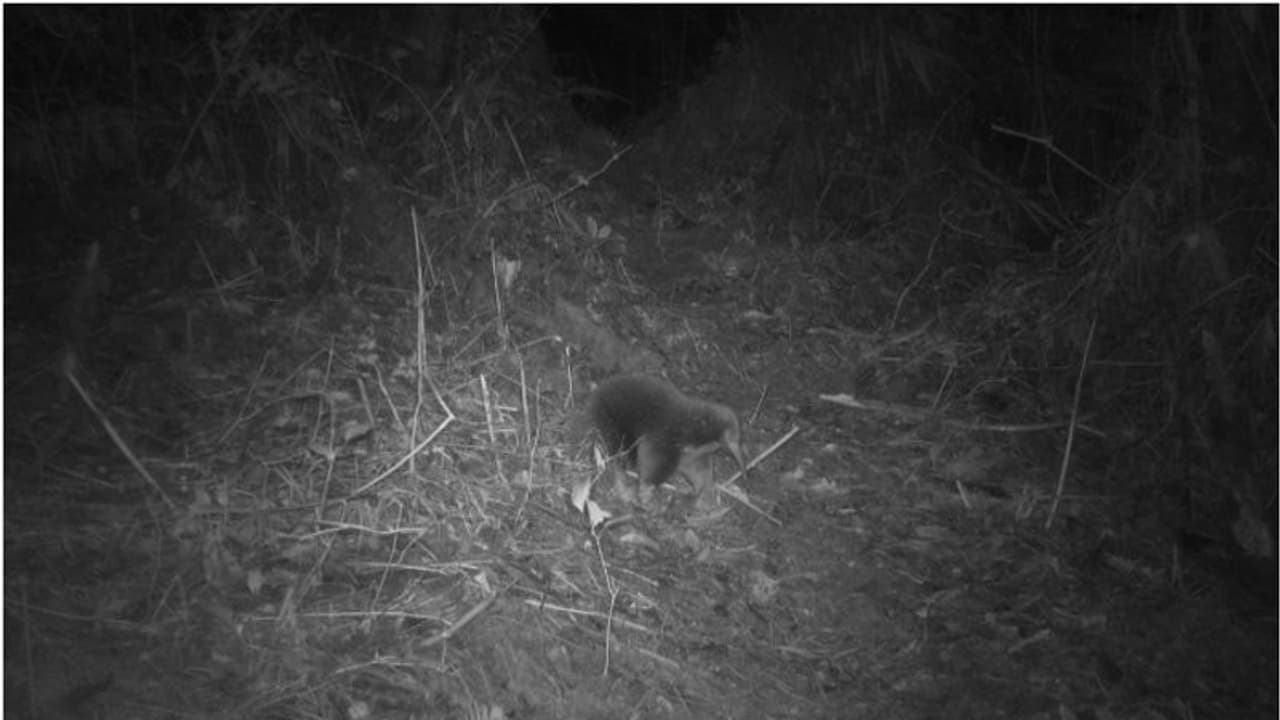 കണ്ണിൽ അട്ട കടിച്ച് തൂങ്ങിയത് 33 മണിക്കൂർ എങ്കിലും ആശ്വാസത്തോടെ ഗവേഷകര്, കാരണം ഇത്... കണ്ണിൽ അട്ട കടിച്ച് തൂങ്ങിയത് 33 മണിക്കൂർ എങ്കിലും ആശ്വാസത്തോടെ ഗവേഷകര്, കാരണം ഇത്...