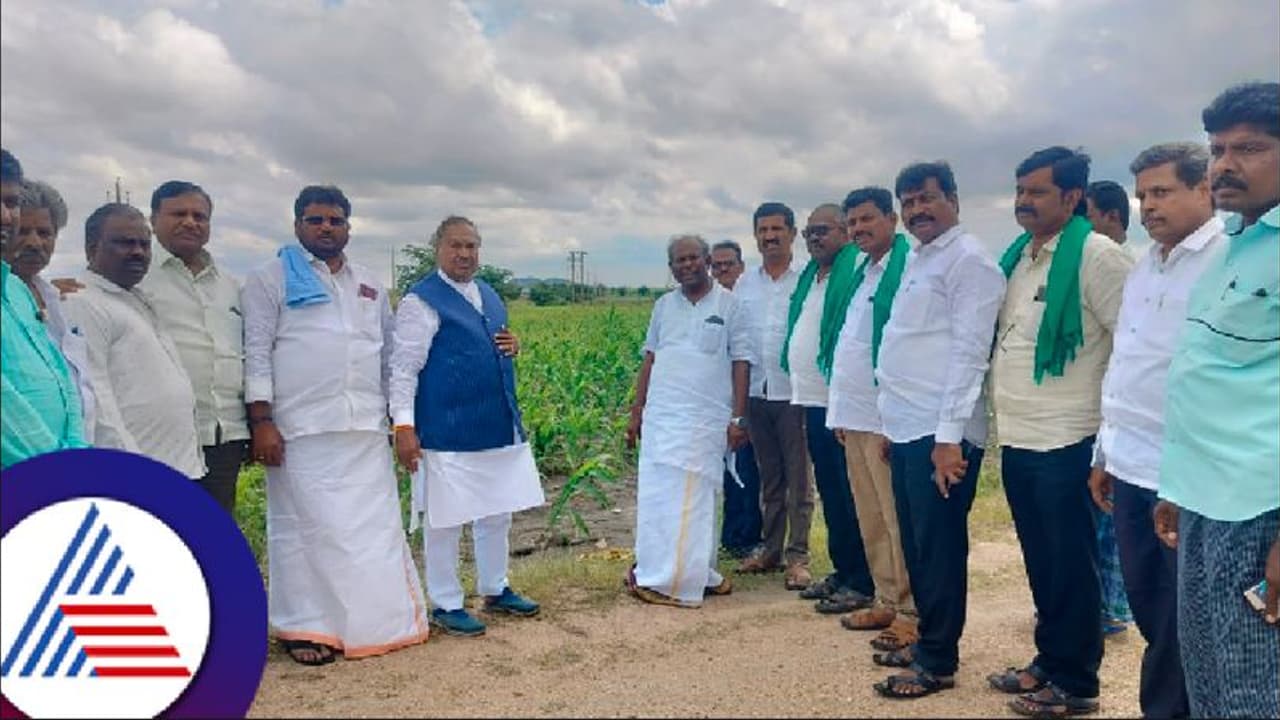 ಬರಗಾಲದಲ್ಲೂ ಕಾಂಗ್ರೆಸ್ ಬಿಜೆಪಿ ನಾಯಕರ ರಾಜಕೀಯ, ಪರಸ್ಪರ ನಿಂದನೆ, ಪರಿಹಾರ ಘೋಷಿಸುತ್ತಿಲ್ಲ! ಬರಗಾಲದಲ್ಲೂ ಕಾಂಗ್ರೆಸ್ ಬಿಜೆಪಿ ನಾಯಕರ ರಾಜಕೀಯ, ಪರಸ್ಪರ ನಿಂದನೆ, ಪರಿಹಾರ ಘೋಷಿಸುತ್ತಿಲ್ಲ!