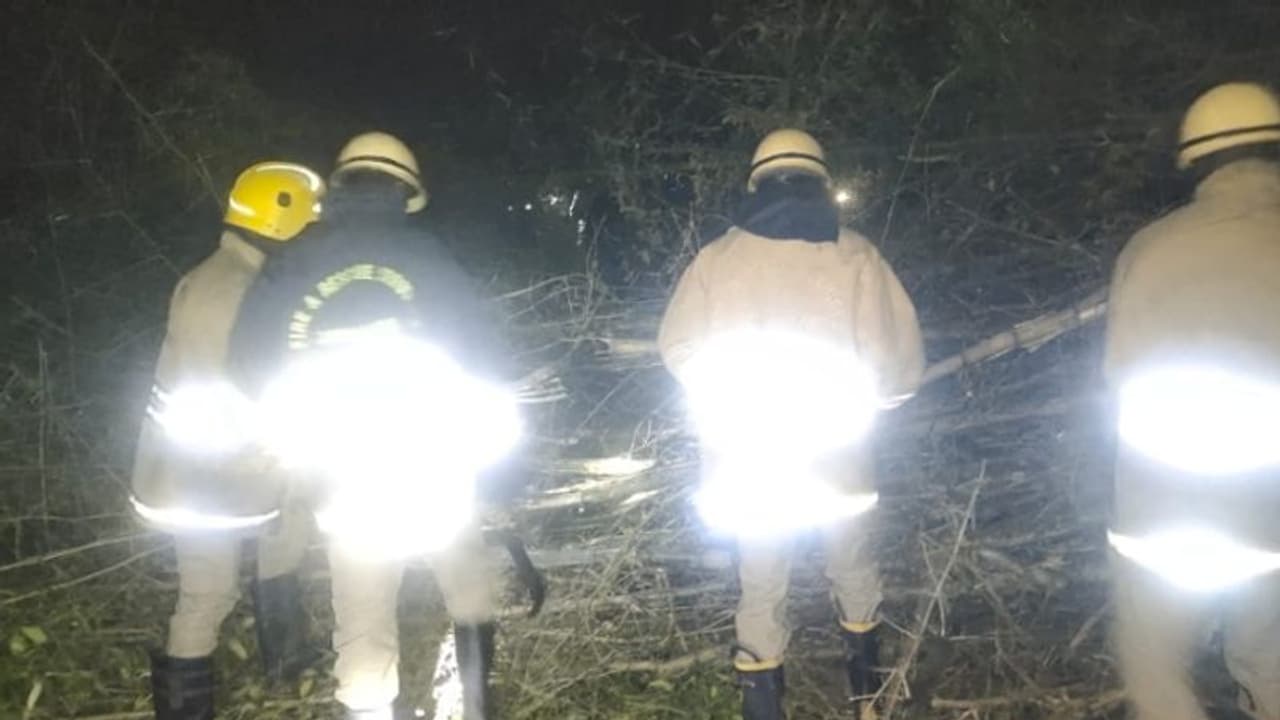 നെടുങ്കണ്ടത്ത് അന്തർ സംസ്ഥാന പാതയിൽ മണ്ണിടിഞ്ഞുവീണു, ഭാരവാഹനങ്ങള്ക്ക് വിലക്ക് നെടുങ്കണ്ടത്ത് അന്തർ സംസ്ഥാന പാതയിൽ മണ്ണിടിഞ്ഞുവീണു, ഭാരവാഹനങ്ങള്ക്ക് വിലക്ക്