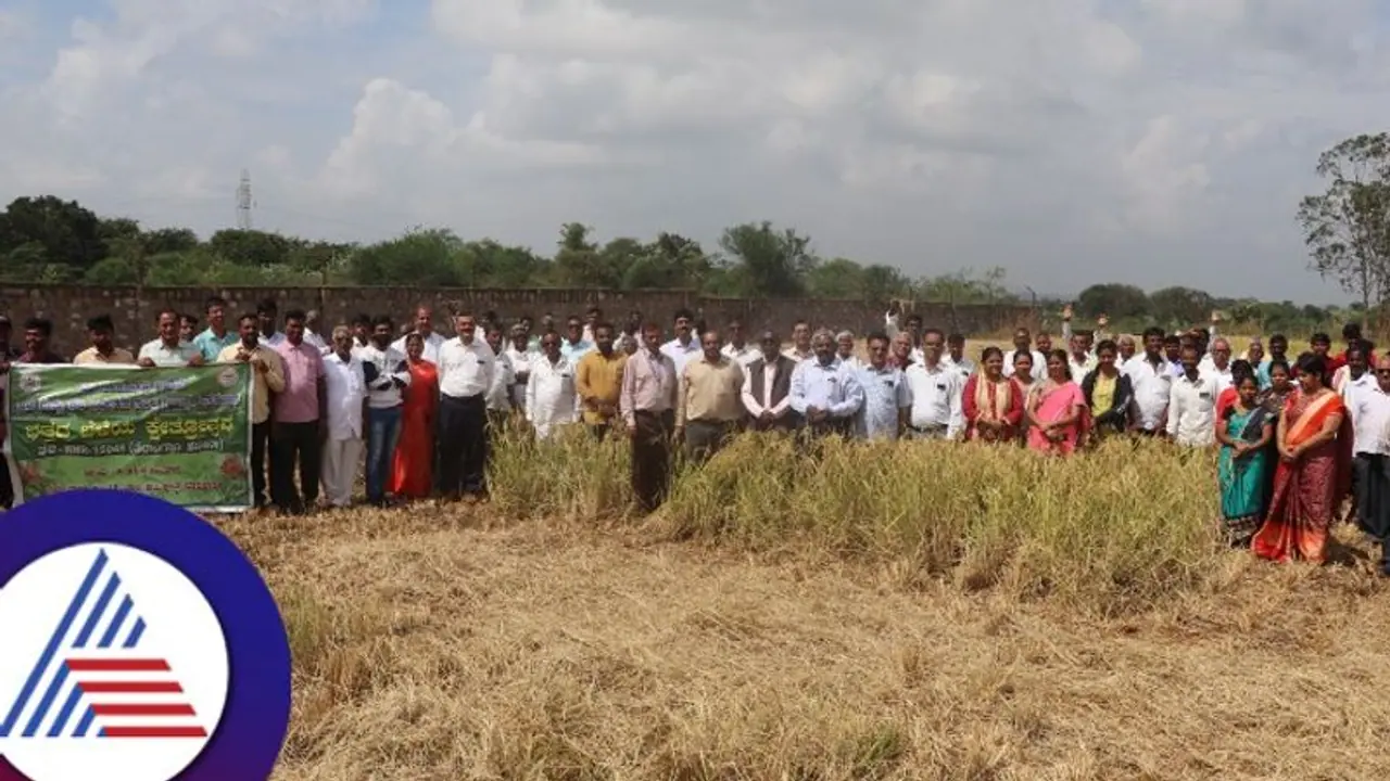 ಮಧುಮೇಹಿಗಳಿಗೆ ಸಿಹಿ ಸುದ್ದಿ; ರಾಜ್ಯಕ್ಕೂ ಬಂತು ಡಯಾಫಿಟ್‌ ಭತ್ತ!