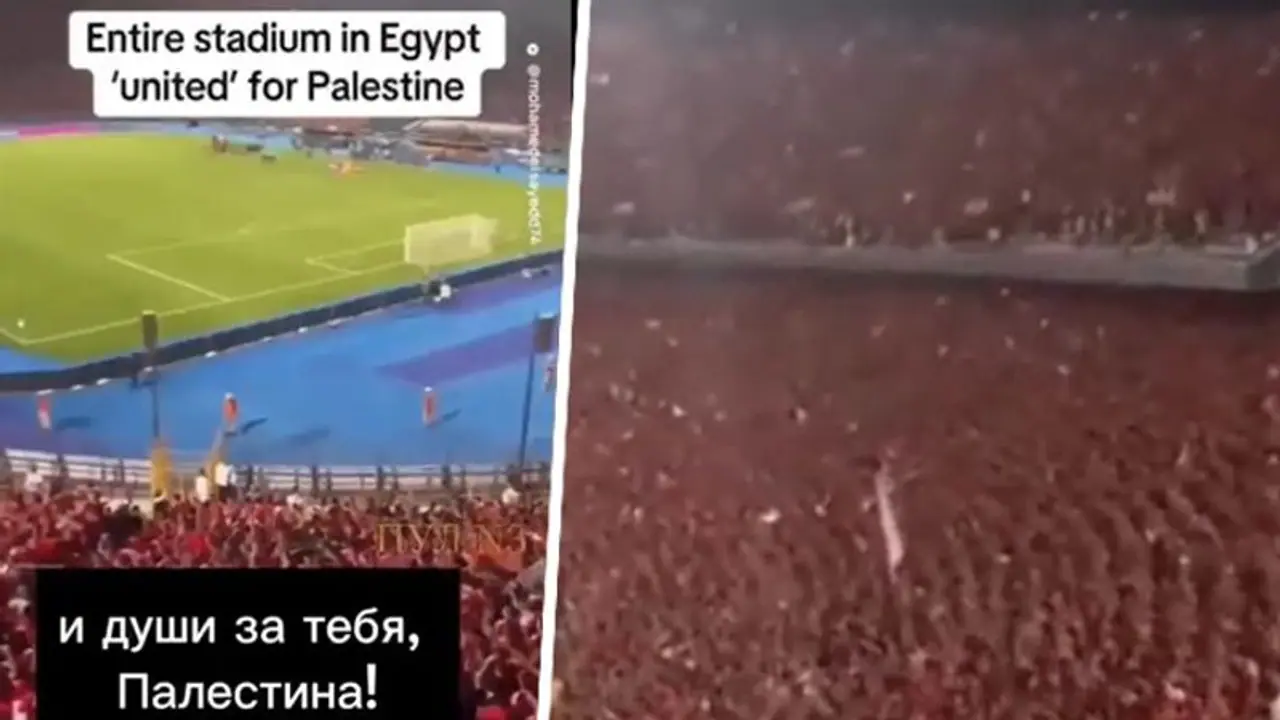 Viral Video: Egyptian football stadium erupts with chants of solidarity for Palestine amid Gaza war (WATCH) Viral Video: Egyptian football stadium erupts with chants of solidarity for Palestine amid Gaza war (WATCH)