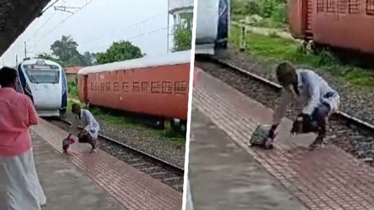 Kerala: Elderly man narrowly escapes being hit by Vande Bharat Express; [VIDEO]