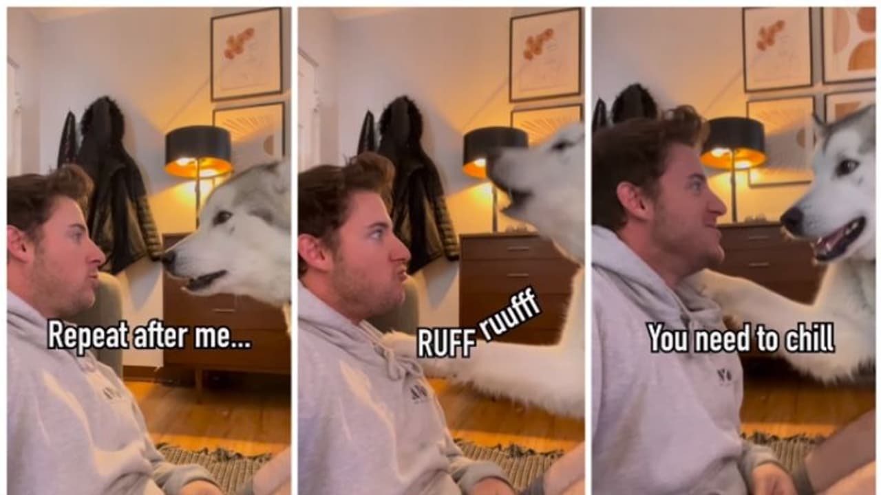 'ഹ്യൂഗോ ഒരു മികച്ച അധ്യാപകനാണ്.'; ഉടമയെ സ്വന്തം ഭാഷ പഠിപ്പിക്കുന്ന നായയുടെ വീഡിയോ വൈറല് ! 'ഹ്യൂഗോ ഒരു മികച്ച അധ്യാപകനാണ്.'; ഉടമയെ സ്വന്തം ഭാഷ പഠിപ്പിക്കുന്ന നായയുടെ വീഡിയോ വൈറല് !