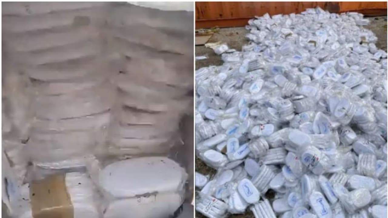 വ്യാപക പരിശോധന; ബുള്ളറ്റ് പ്രൂഫ് ബോക്സിനുള്ളിൽ വിദഗ്ധമായി ഒളിപ്പിച്ചു, പിടികൂടിയത് 800 കിലോ ഹാഷിഷ് വ്യാപക പരിശോധന; ബുള്ളറ്റ് പ്രൂഫ് ബോക്സിനുള്ളിൽ വിദഗ്ധമായി ഒളിപ്പിച്ചു, പിടികൂടിയത് 800 കിലോ ഹാഷിഷ്