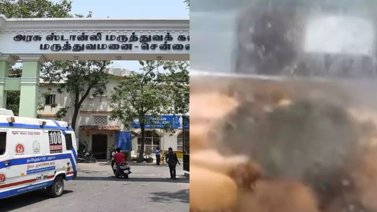 ஸ்டான்லி அரசு மருத்துவமனை கேன்டீன்.. கண்ணாடி பெட்டிக்குள் பஜ்ஜியை ருசிபார்த்த எலி அதிர்ச்சியில் நோயாளிகள்! ஸ்டான்லி அரசு மருத்துவமனை கேன்டீன்.. கண்ணாடி பெட்டிக்குள் பஜ்ஜியை ருசிபார்த்த எலி அதிர்ச்சியில் நோயாளிகள்!