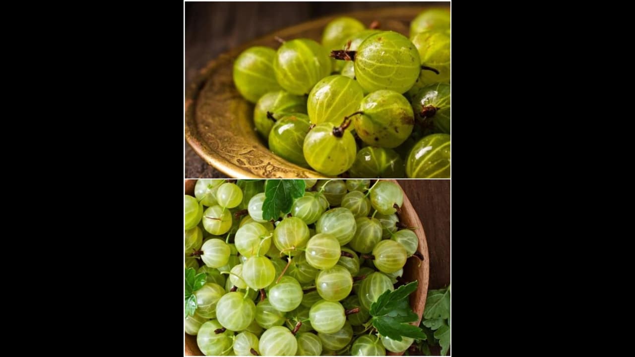 കരുത്തുറ്റ ഇടതൂർന്ന മുടിയ്ക്ക് നെല്ലിക്ക ; ഇങ്ങനെ ഉപയോഗിക്കൂ കരുത്തുറ്റ ഇടതൂർന്ന മുടിയ്ക്ക് നെല്ലിക്ക ; ഇങ്ങനെ ഉപയോഗിക്കൂ