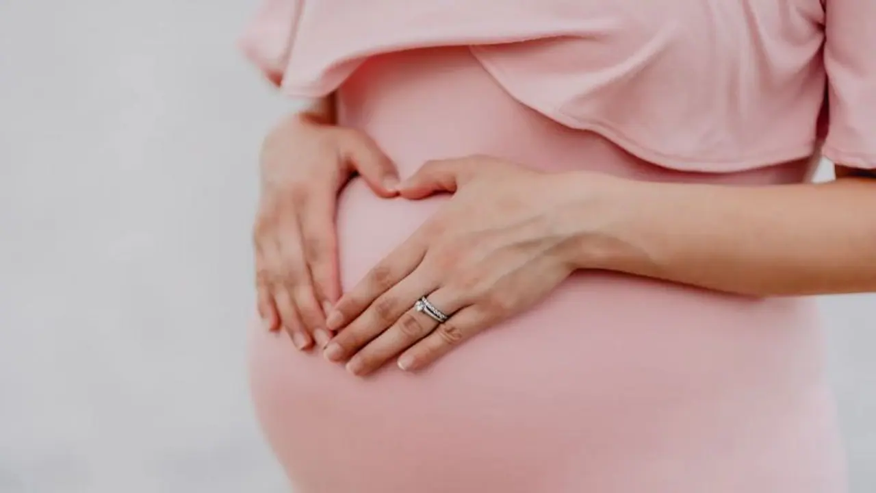 പ്രസവാവധി നിഷേധിക്കപ്പെട്ടു; പരാതിക്കാരിക്ക് ഒരു ലക്ഷം രൂപ നഷ്ടപരിഹാരം നൽകാൻ ഉത്തരവിട്ട് മദ്രാസ് ഹൈക്കോടതി പ്രസവാവധി നിഷേധിക്കപ്പെട്ടു; പരാതിക്കാരിക്ക് ഒരു ലക്ഷം രൂപ നഷ്ടപരിഹാരം നൽകാൻ ഉത്തരവിട്ട് മദ്രാസ് ഹൈക്കോടതി