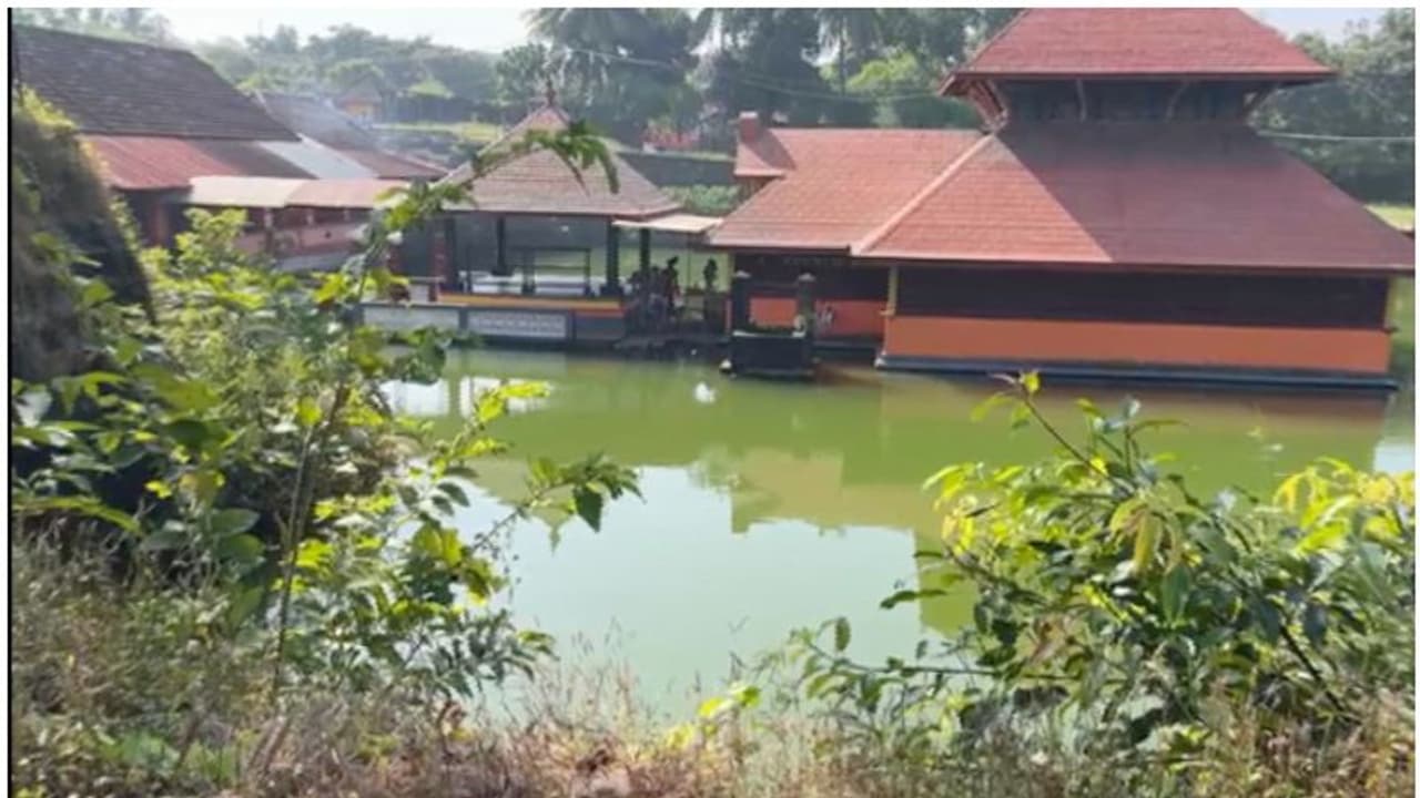 കുമ്പള അനന്തപുരം ക്ഷേത്ര തടാകത്തിലേക്ക് ജനപ്രവാഹം, കാരണം! 80 വർഷം ഇവിടെ വാണ ബബിയക്ക് പകരം പുതിയ ആളെത്തി കുമ്പള അനന്തപുരം ക്ഷേത്ര തടാകത്തിലേക്ക് ജനപ്രവാഹം, കാരണം! 80 വർഷം ഇവിടെ വാണ ബബിയക്ക് പകരം പുതിയ ആളെത്തി