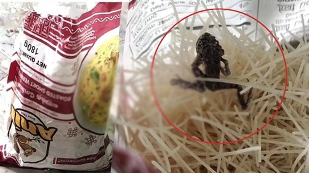 அணில் சேமியாவில் இறந்து கிடந்த தவளை.. வாடிக்கையாளர் அதிர்ச்சி..!