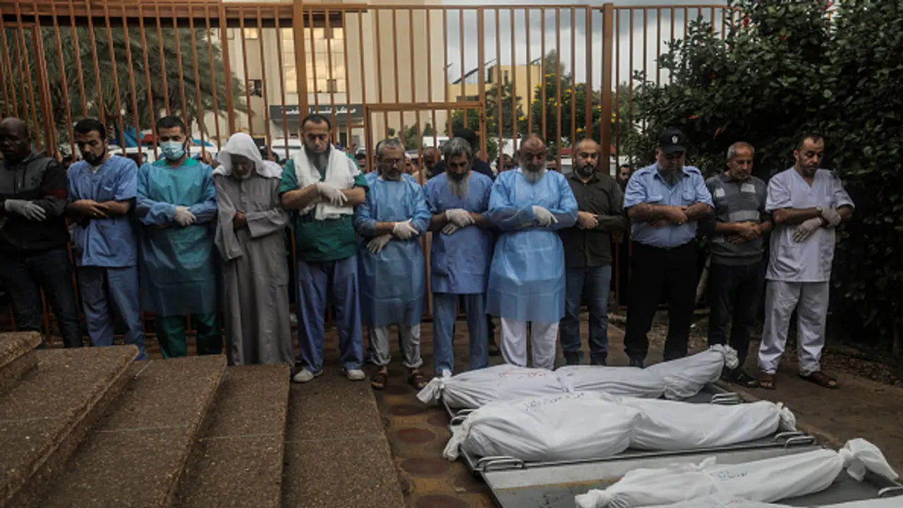 Gazans resort to eating grass, drinking polluted water for survival; Israel Hamas war speeds up famine Gazans resort to eating grass, drinking polluted water for survival; Israel Hamas war speeds up famine