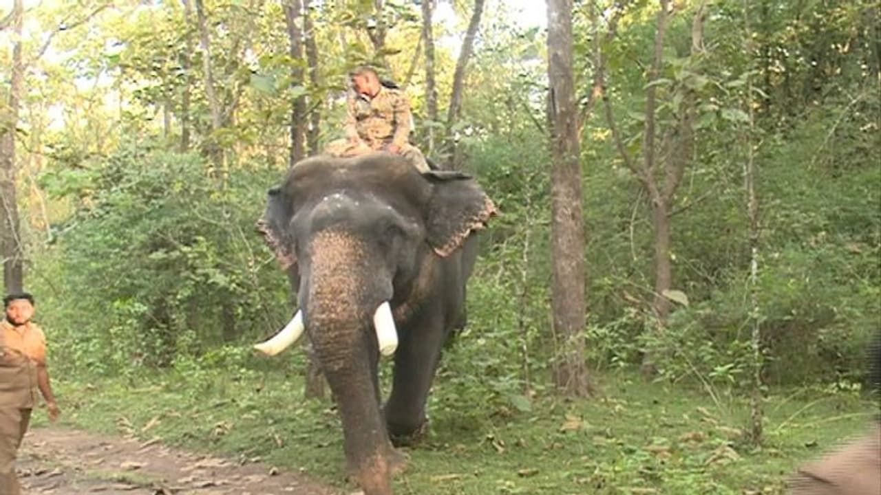 ಚಿಕ್ಕಮಗಳೂರು: ಒಂದು ವಾರದಿಂದ ಕಾರ್ಯಚಾರಣೆ ನಡೆಸಿದರೂ ಸೆರೆಯಾಗದ ಒಂಟಿ ಸಲಗ, ಹೆಚ್ಚಿದ ಆತಂಕ..! ಚಿಕ್ಕಮಗಳೂರು: ಒಂದು ವಾರದಿಂದ ಕಾರ್ಯಚಾರಣೆ ನಡೆಸಿದರೂ ಸೆರೆಯಾಗದ ಒಂಟಿ ಸಲಗ, ಹೆಚ್ಚಿದ ಆತಂಕ..!