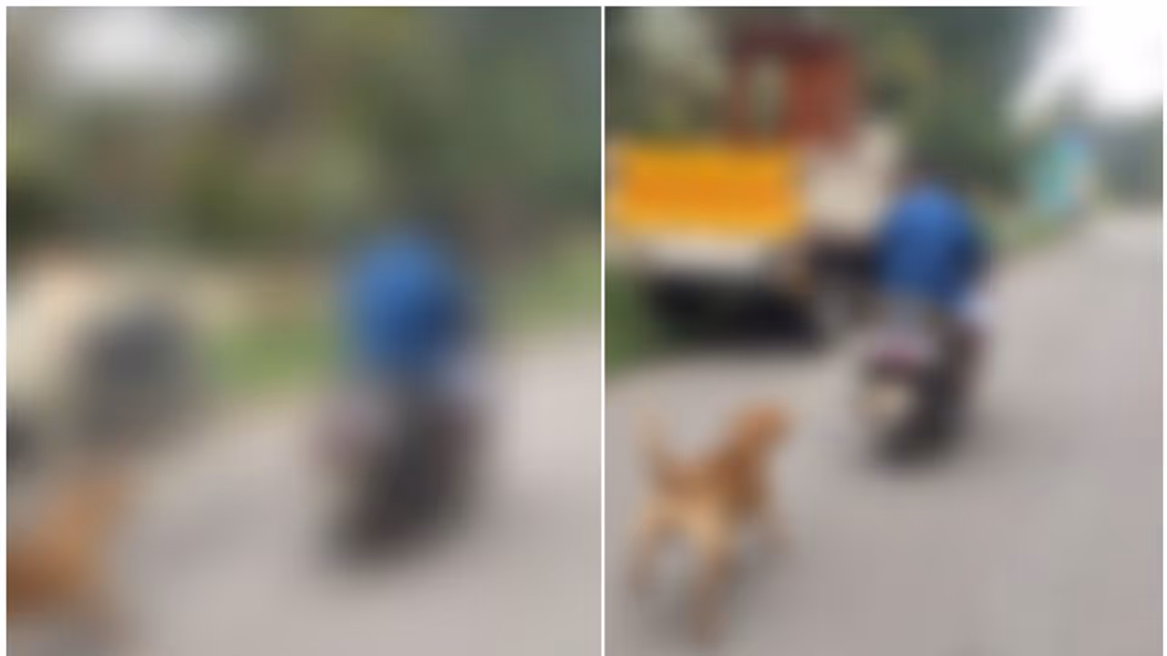 സ്കൂട്ടറിന് പിന്നിൽ നായയെ കെട്ടിവലിച്ചു, കാണാതെ പോയ നായയെ വീട്ടിൽ കൊണ്ടുപോകുകയാണെന്ന് യാത്രികൻ കേസ് സ്കൂട്ടറിന് പിന്നിൽ നായയെ കെട്ടിവലിച്ചു, കാണാതെ പോയ നായയെ വീട്ടിൽ കൊണ്ടുപോകുകയാണെന്ന് യാത്രികൻ കേസ്