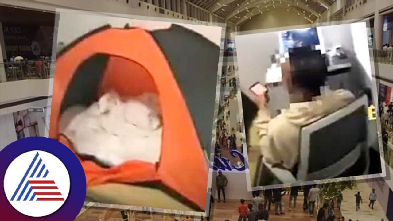 ಕದ್ದು ಮುಚ್ಚಿ ಮಾಲ್‌ವೊಂದರಲ್ಲಿ ಆರು ತಿಂಗ್ಳಿಂದ ಇದಾನೆ ಈ ಭೂಪ! ಈಗ ಸಿಕ್ಕಿ ಬಿದ್ನಾ?