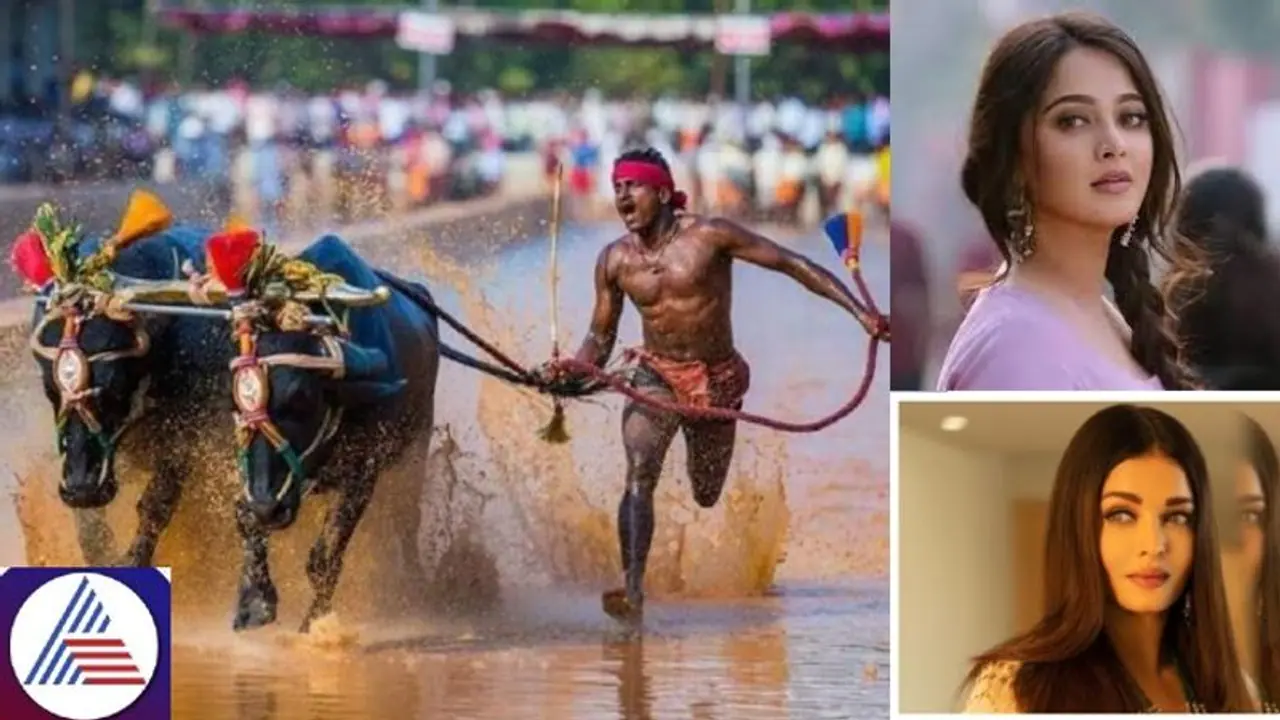 Aishwarya Rai, Anushka Shetty to attend Bengaluru Kambala at Palace grounds