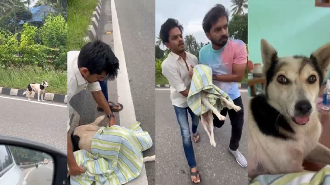 വഴിയരികിൽ ചോരയൊലിപ്പിച്ച് തെരുവുനായ, കാർ നിർത്തി ആശുപത്രിയിലെത്തിച്ച് യുവാവ്, ഹൃദയസ്പർശിയായ ഒരു കുറിപ്പും വഴിയരികിൽ ചോരയൊലിപ്പിച്ച് തെരുവുനായ, കാർ നിർത്തി ആശുപത്രിയിലെത്തിച്ച് യുവാവ്, ഹൃദയസ്പർശിയായ ഒരു കുറിപ്പും