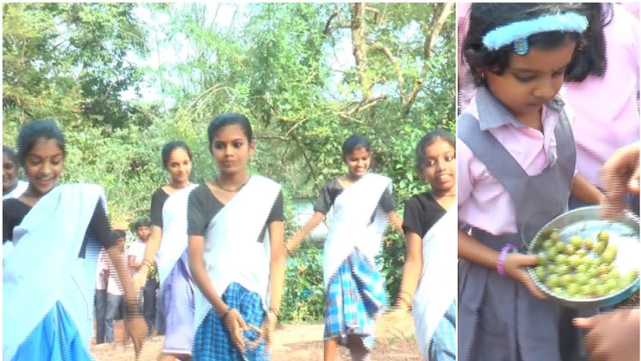 നല്ല വെറൈറ്റി ഉത്സവം, 20 വർഷമായി നമ്മുടെ കേരളത്തിലെ ഒരു സ്കൂളിൽ തന്നെ; ഇത്തവണ 300 കിലോയുടെ സന്തോഷം! നല്ല വെറൈറ്റി ഉത്സവം, 20 വർഷമായി നമ്മുടെ കേരളത്തിലെ ഒരു സ്കൂളിൽ തന്നെ; ഇത്തവണ 300 കിലോയുടെ സന്തോഷം!