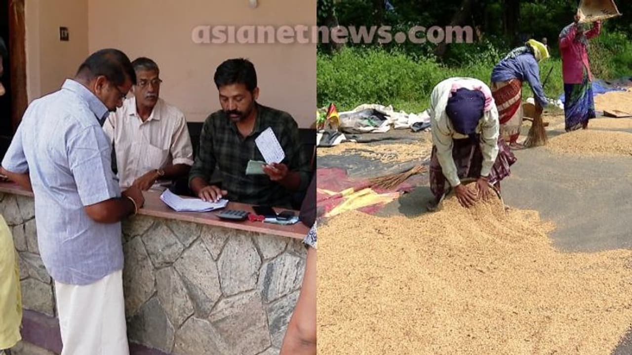 സംഭരിക്കുന്ന നെല്ലിന് 2000 കിലോ പരിധി നിശ്ചയിച്ച് സപ്ലൈകോ; നെൽകർഷകർക്ക് തിരിച്ചടി, ആശങ്ക സംഭരിക്കുന്ന നെല്ലിന് 2000 കിലോ പരിധി നിശ്ചയിച്ച് സപ്ലൈകോ; നെൽകർഷകർക്ക് തിരിച്ചടി, ആശങ്ക