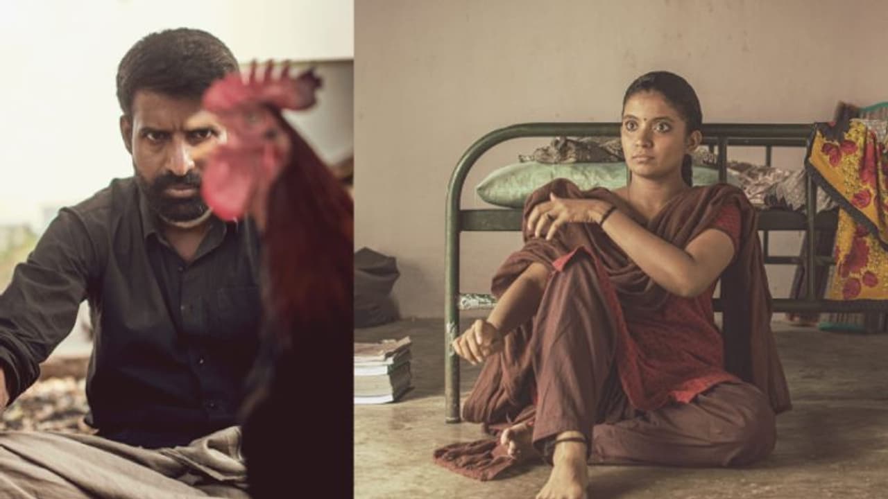 'கொட்டுக்காளி' படத்திற்கு சர்வதேச அரங்கில் குவிந்த பாராட்டு! மகிழ்ச்சியில் சிவகார்த்திகேயன் வெளியிட்ட வீடியோ!