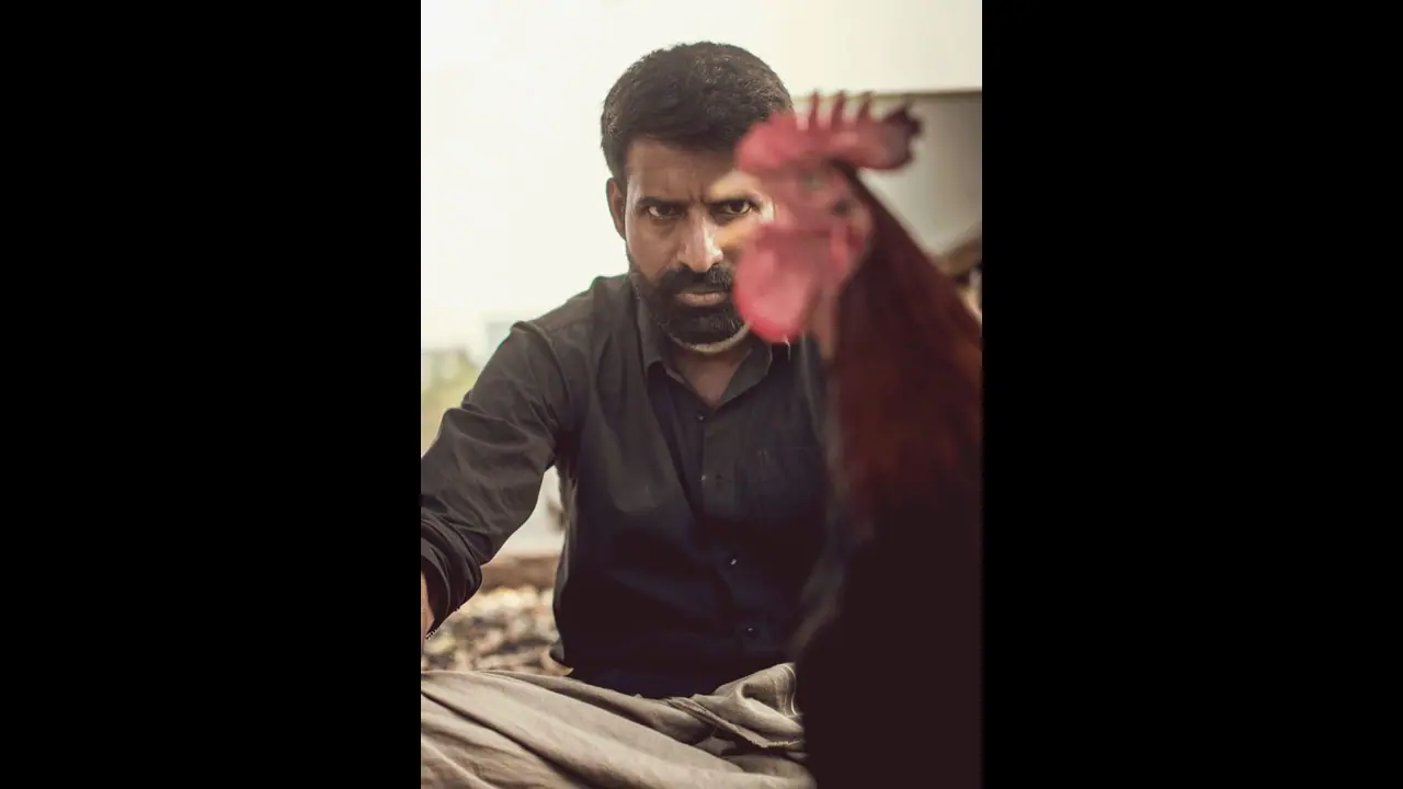 சிவகார்த்திகேயன் தயாரிப்பில் சூரி நடிக்கும் ’கொட்டுக்காளி’ படத்திற்கு கிடைத்த சர்வதேச அங்கீகாரம்! சிவகார்த்திகேயன் தயாரிப்பில் சூரி நடிக்கும் ’கொட்டுக்காளி’ படத்திற்கு கிடைத்த சர்வதேச அங்கீகாரம்!