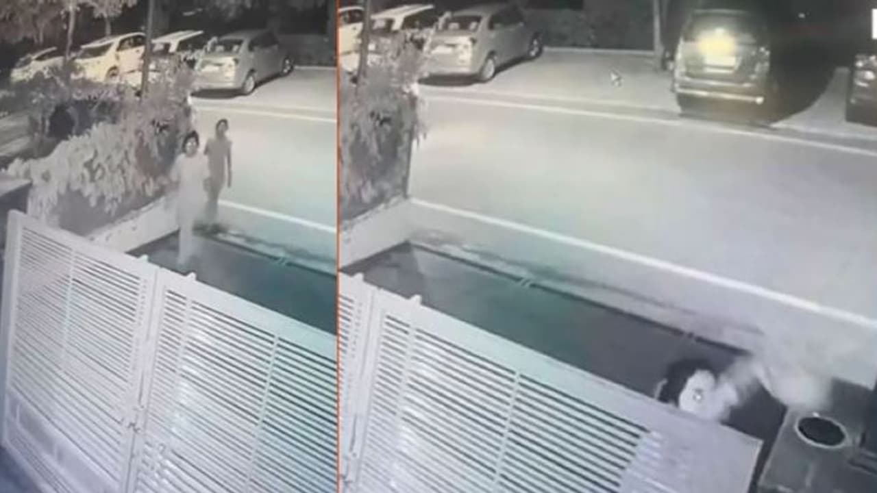 ಕಾರಲ್ಲಿ ಬಂದು ಹೂಕುಂಡ ಕದ್ದ ಕಳ್ಳಿಯರು: ವೀಡಿಯೋ ವೈರಲ್ ಕಾರಲ್ಲಿ ಬಂದು ಹೂಕುಂಡ ಕದ್ದ ಕಳ್ಳಿಯರು: ವೀಡಿಯೋ ವೈರಲ್