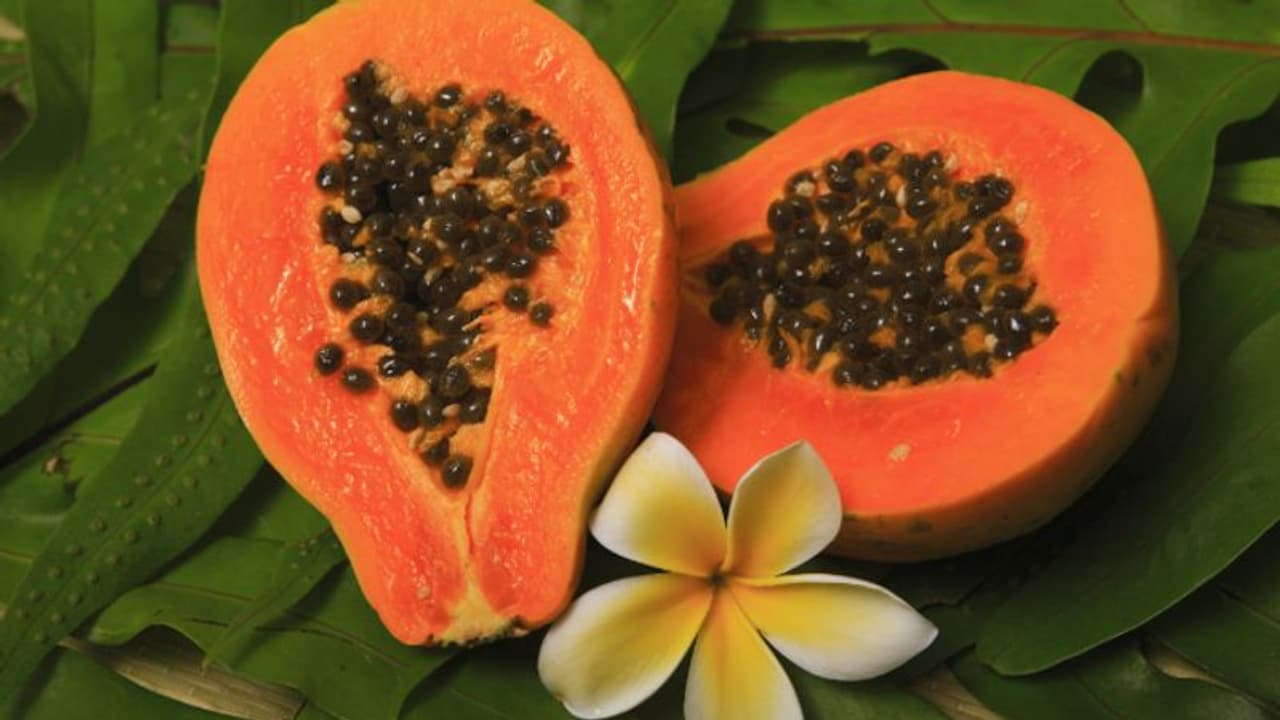 പപ്പായയുടെ കുരു കഴിക്കാറുണ്ടോ? എങ്കില്, നിങ്ങളറിയേണ്ടത്... പപ്പായയുടെ കുരു കഴിക്കാറുണ്ടോ? എങ്കില്, നിങ്ങളറിയേണ്ടത്...
