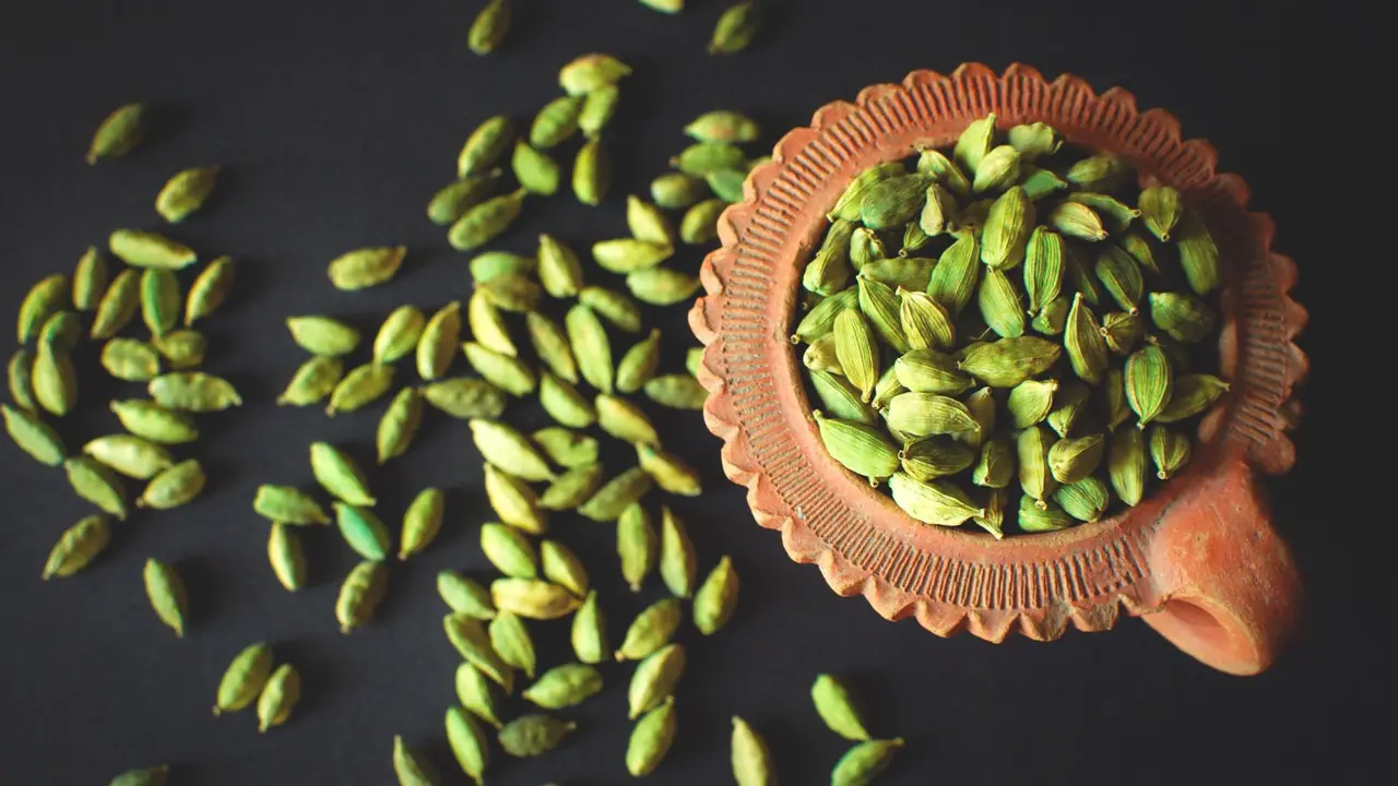 How To Grow Cardamom Plant