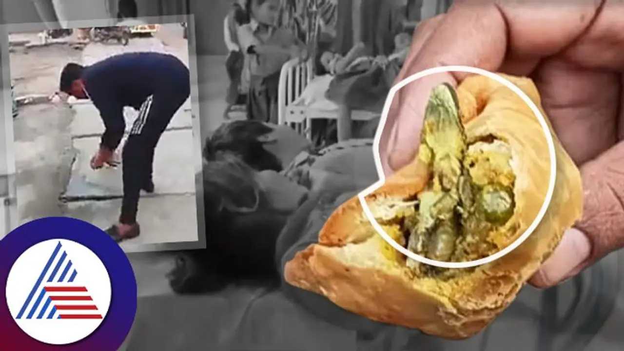 ಬೇಕರಿಯಿಂದ ತಂದ ಸಮೋಸಾದಲ್ಲಿತ್ತು ಸತ್ತ ಹಲ್ಲಿ, ಅಸ್ವಸ್ಥಗೊಂಡ ಬಾಲಕಿ ಆಸ್ಪತ್ರೆಗೆ ದಾಖಲು