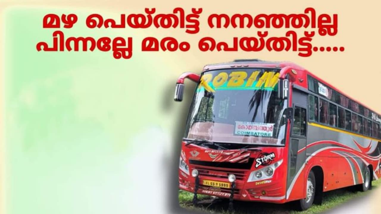 'ആനക്കും ചേനക്കും എംവിഡിക്കും ചൊറിച്ചിലിനുള്ള മരുന്ന് ആവോളം കയ്യിലുണ്ട്', വെല്ലുവിളിച്ച് റോബിൻ മോട്ടോഴ്സ് 'ആനക്കും ചേനക്കും എംവിഡിക്കും ചൊറിച്ചിലിനുള്ള മരുന്ന് ആവോളം കയ്യിലുണ്ട്', വെല്ലുവിളിച്ച് റോബിൻ മോട്ടോഴ്സ്