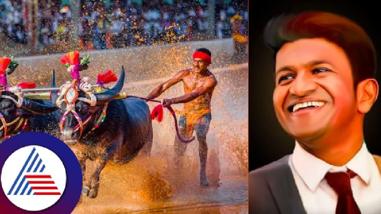 ಬೆಂಗಳೂರು ಕಂಬಳದಲ್ಲಿ ಅಪ್ಪು ಸ್ಮೃತಿ: ಕಂಬಳ ಸಮಿತಿಯ ನಿರ್ಧಾರಕ್ಕೆ ಪುನೀತ್ ಅಭಿಮಾನಿಗಳು ಫುಲ್‌ ಖುಷಿ..!