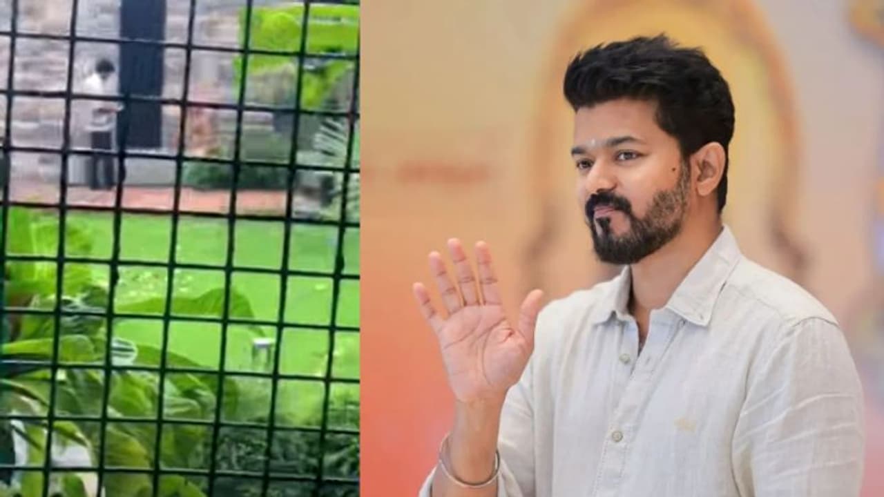 நான் எப்போவுமே கூல் நண்பா.. வீட்டில் செல்லப்பிராணியுடன் Chill பண்ணும் தளபதி விஜய் வீடியோ செம வைரல்! நான் எப்போவுமே கூல் நண்பா.. வீட்டில் செல்லப்பிராணியுடன் Chill பண்ணும் தளபதி விஜய் வீடியோ செம வைரல்!