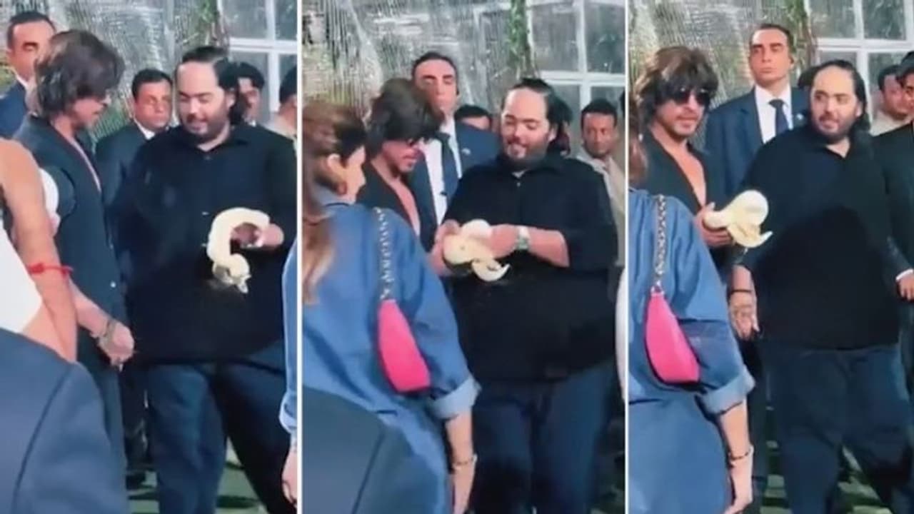 Watch: Anant Ambani gives snake to Shah Rukh Khan on Isha Ambani's twins' birthday party