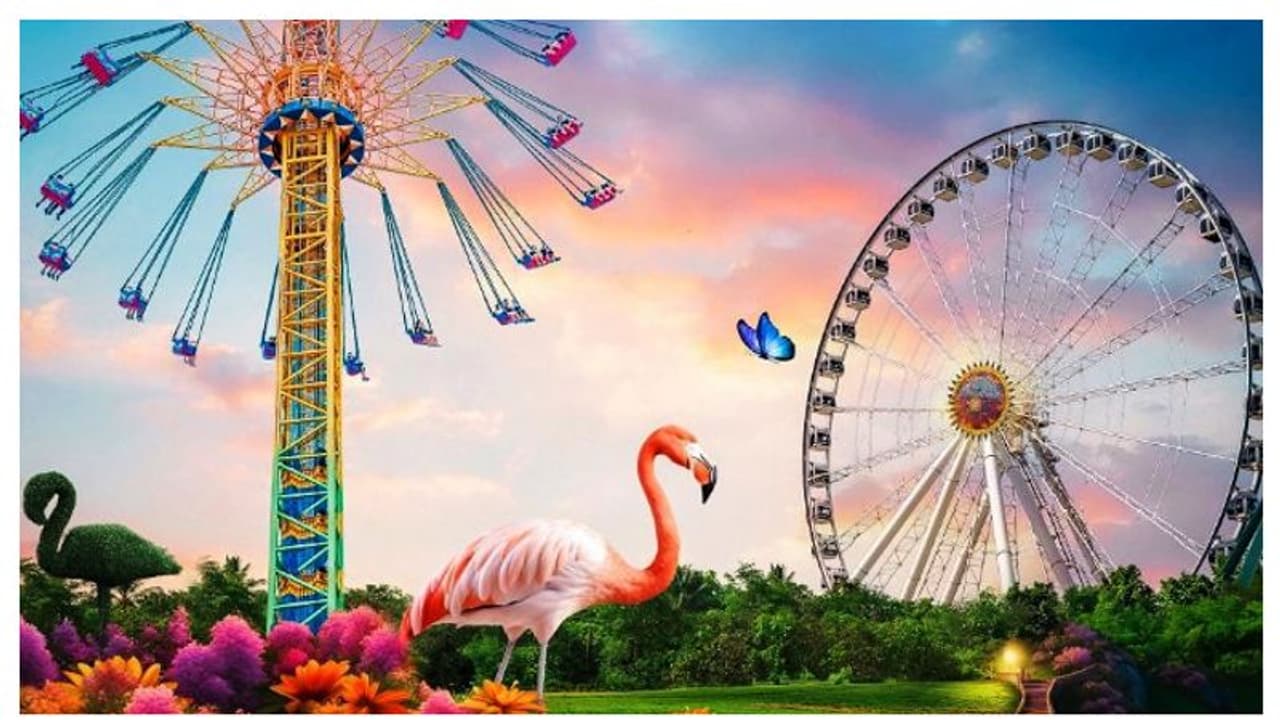 70 സാഹസിക ഗെയിമുകൾ, 31 റെസ്റ്റോറൻറുകൾ; അത്ഭുത കാഴ്ചകളൊരുക്കി ‘വണ്ടർ ഗാർഡൻ’തുറന്നു 70 സാഹസിക ഗെയിമുകൾ, 31 റെസ്റ്റോറൻറുകൾ; അത്ഭുത കാഴ്ചകളൊരുക്കി ‘വണ്ടർ ഗാർഡൻ’തുറന്നു