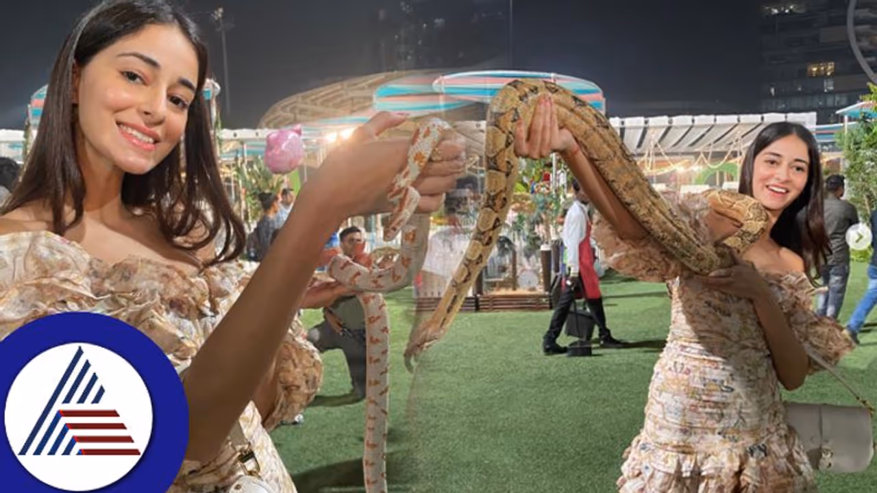 ಹಾವೆಂದರೆ ನನಗೆ ಸ್ವರ್ಗ ಎಂದ ನಟಿ ಅನನ್ಯಾ ಪಾಂಡೆ ಹೆಬ್ಬಾವಿನ ಜೊತೆ ಪೋಸ್​: ಫ್ಯಾನ್ಸ್​ ಶಾಕ್​! 