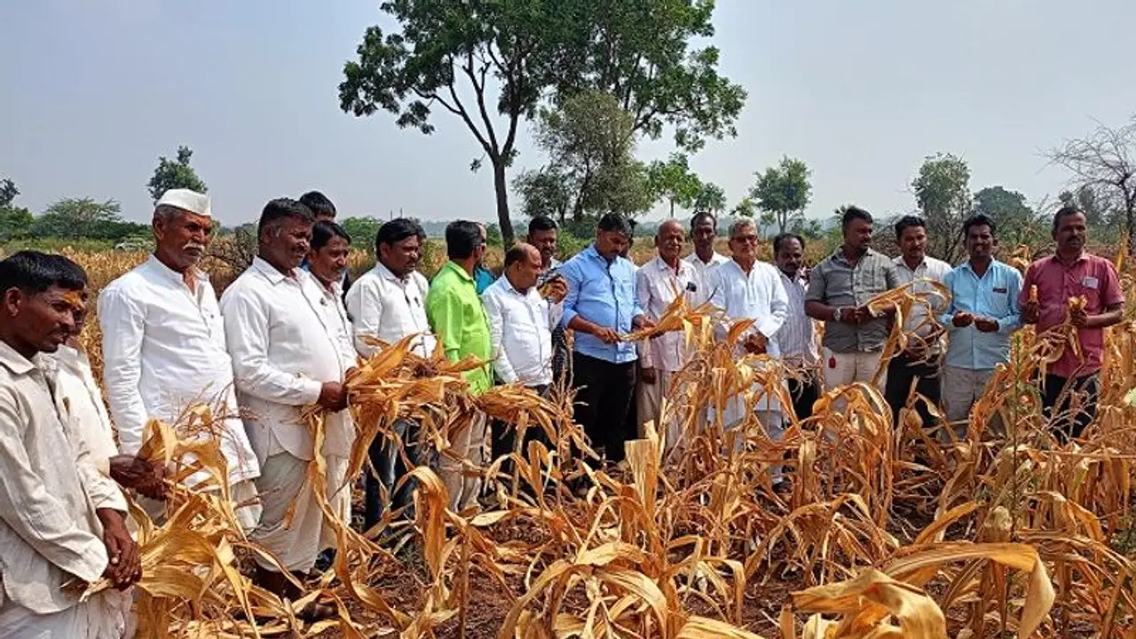 ಬರ ಪರಿಹಾರಕ್ಕೆ ಸ್ಪಂದಿಸದ ರಾಜ್ಯ ಸರ್ಕಾರ: ಮಾವಿನಮರದ ಬರ ಪರಿಹಾರಕ್ಕೆ ಸ್ಪಂದಿಸದ ರಾಜ್ಯ ಸರ್ಕಾರ: ಮಾವಿನಮರದ