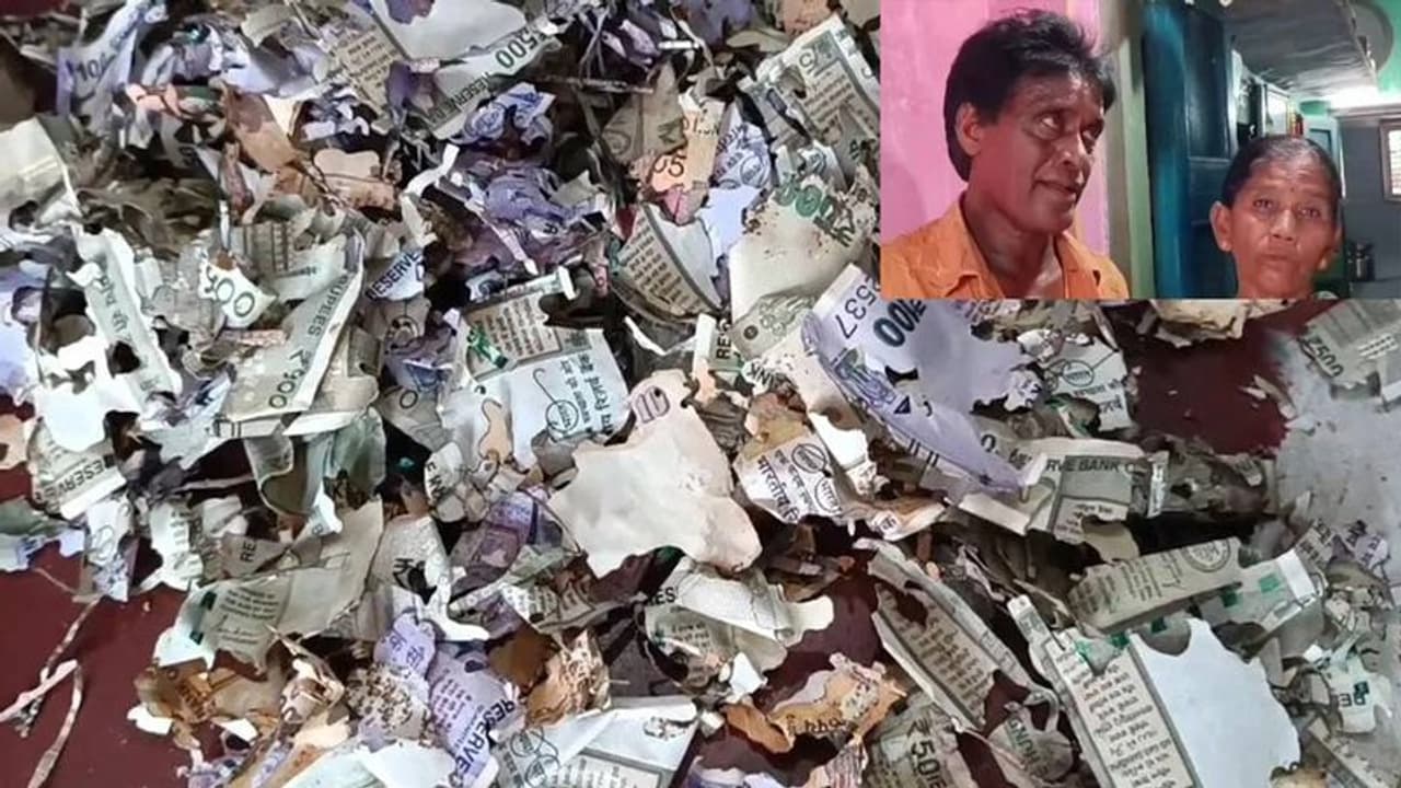 மகளின் திருமணத்திற்காக சேமித்து வைத்த ரூ.2 லட்சம் பணத்தை கரையான்கள் அரித்ததால் அதிர்ச்சி.. மகளின் திருமணத்திற்காக சேமித்து வைத்த ரூ.2 லட்சம் பணத்தை கரையான்கள் அரித்ததால் அதிர்ச்சி..