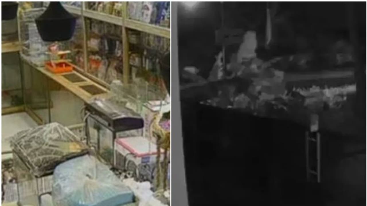 കോട്ടയത്തെ പെറ്റ് ഷോപ്പിൽ അർധരാത്രി കാറിലെത്തി, ഷട്ടർ കുത്തിതുറന്നു, പൊക്കിയതാകട്ടെ നായകളെയടക്കം! ഒടുവിൽ... കോട്ടയത്തെ പെറ്റ് ഷോപ്പിൽ അർധരാത്രി കാറിലെത്തി, ഷട്ടർ കുത്തിതുറന്നു, പൊക്കിയതാകട്ടെ നായകളെയടക്കം! ഒടുവിൽ...