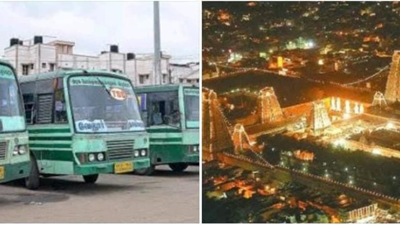 தி.மலை கார்த்திகை தீபத் திருவிழா.. அடேங்கப்பா.. பக்தர்களுக்கு இவ்வளவு சிறப்பு ஏற்பாடுகளா? காவல்துறை விளக்கம்.! தி.மலை கார்த்திகை தீபத் திருவிழா.. அடேங்கப்பா.. பக்தர்களுக்கு இவ்வளவு சிறப்பு ஏற்பாடுகளா? காவல்துறை விளக்கம்.!