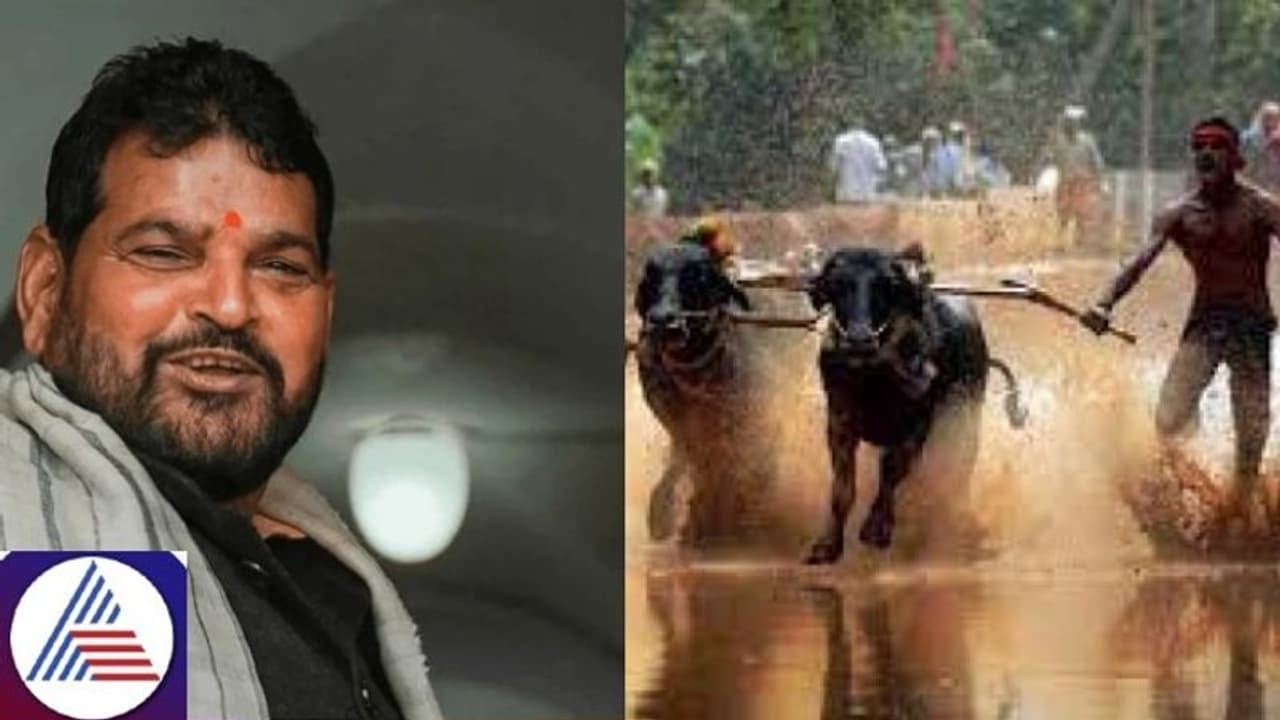 Bengaluru Kambala: Invitation to accused MP Brij Bhushan Singh sparks outrage on Social media