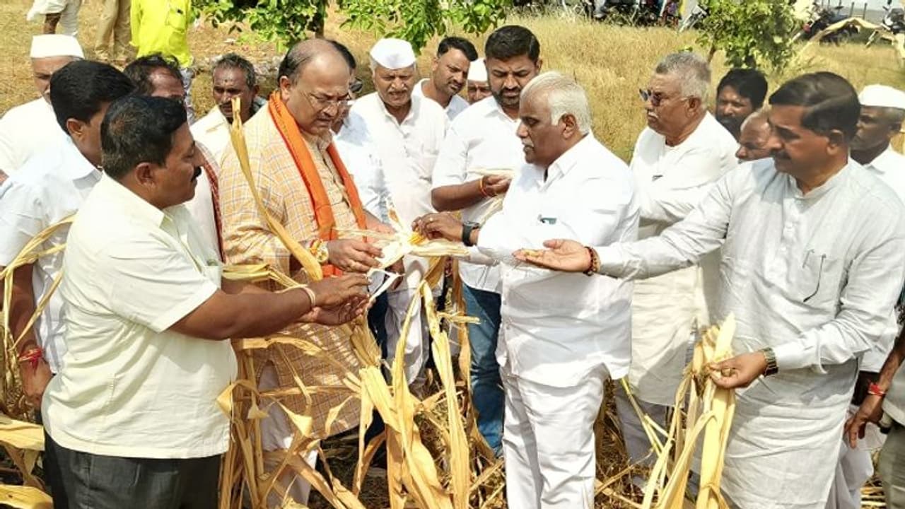 ಸಿದ್ದು ಸರ್ಕಾರ ರೈತರ ಸಮಸ್ಯೆಗಳಿಗೆ ಸ್ಪಂದಿಸದಿರುವುದು ವಿಷಾದದ ಸಂಗತಿ: ಲಿಂಬಾವಳಿ ಸಿದ್ದು ಸರ್ಕಾರ ರೈತರ ಸಮಸ್ಯೆಗಳಿಗೆ ಸ್ಪಂದಿಸದಿರುವುದು ವಿಷಾದದ ಸಂಗತಿ: ಲಿಂಬಾವಳಿ