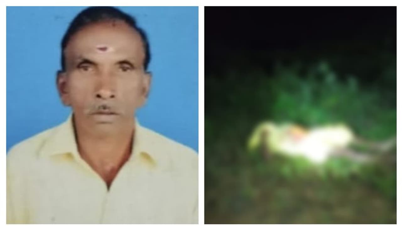 നടയടച്ച് വീട്ടിലേക്ക് വരുന്നതിനിടെ കാട്ടുപോത്ത് കുത്തി വീഴ്ത്തി; ക്ഷേത്ര പൂജാരിക്ക് ദാരുണാന്ത്യം നടയടച്ച് വീട്ടിലേക്ക് വരുന്നതിനിടെ കാട്ടുപോത്ത് കുത്തി വീഴ്ത്തി; ക്ഷേത്ര പൂജാരിക്ക് ദാരുണാന്ത്യം