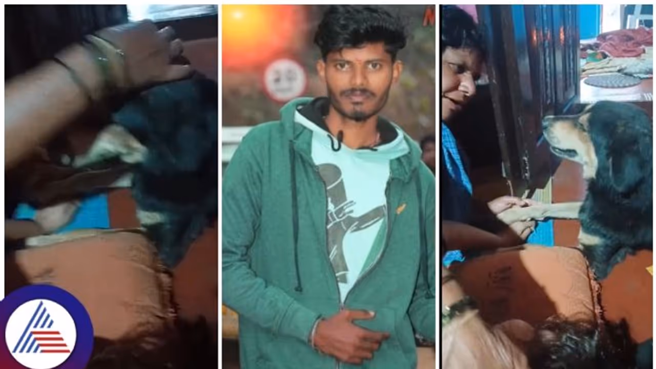 ನಾಯಿ ಅಡ್ಡ ಬಂದು ಬೈಕ್ ಸವಾರ ಸಾವು, ತನ್ನಿಂದಾದ ತಪ್ಪಿಗೆ 3 ದಿನದ ಬಳಿಕ ಮೃತನ ಮನೆಗೆ ಬಂದು ಕ್ಷಮೆ ಕೇಳ್ತಾ ಶ್ವಾನ? ನಾಯಿ ಅಡ್ಡ ಬಂದು ಬೈಕ್ ಸವಾರ ಸಾವು, ತನ್ನಿಂದಾದ ತಪ್ಪಿಗೆ 3 ದಿನದ ಬಳಿಕ ಮೃತನ ಮನೆಗೆ ಬಂದು ಕ್ಷಮೆ ಕೇಳ್ತಾ ಶ್ವಾನ?